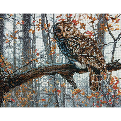 Dimensions Counted Cross Stitch Kit 14"X11"-Wise Owl (14 Count) - 70-35311