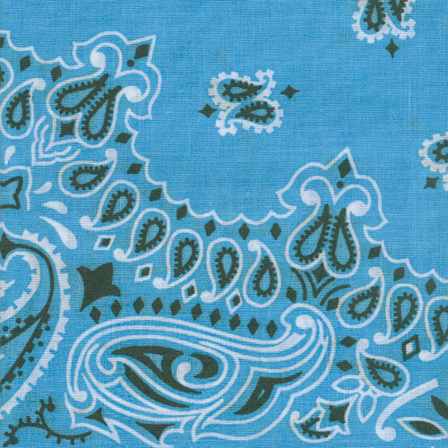 Carolina Hav-A-Hank Paisley Bandanna 22"X22"-Light Blue - B22PAI-06