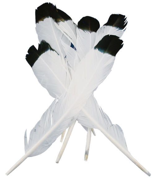 Touch Of Nature Simulated Eagle Feathers 4/Pkg-White W/Black Tip MD38180 - 684653381800