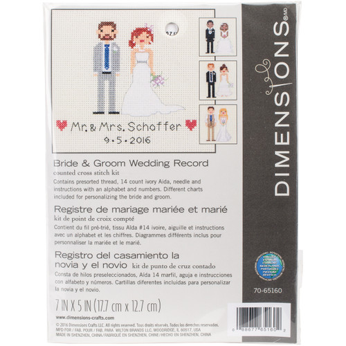 Dimensions Mini Counted Cross Stitch Kit 7"X5"-Bride & Groom Record (14 Count) - 70-65160 - 088677651602