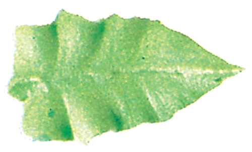 Wilton Decorating Tip-#352 Leaf W418352