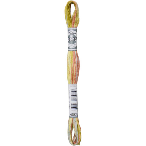 DMC Coloris 6-Strand Embroidery Cotton Floss 8.7yd-Frosted Countryside - 517-4508 - 077540680658