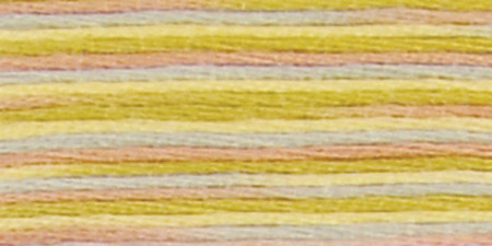 DMC Coloris 6-Strand Embroidery Cotton Floss 8.7yd-Frosted Countryside - 517-4508