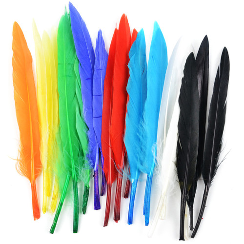 Touch Of Nature Mini Indian Feathers 24/Pkg-Assorted Colors MD38185