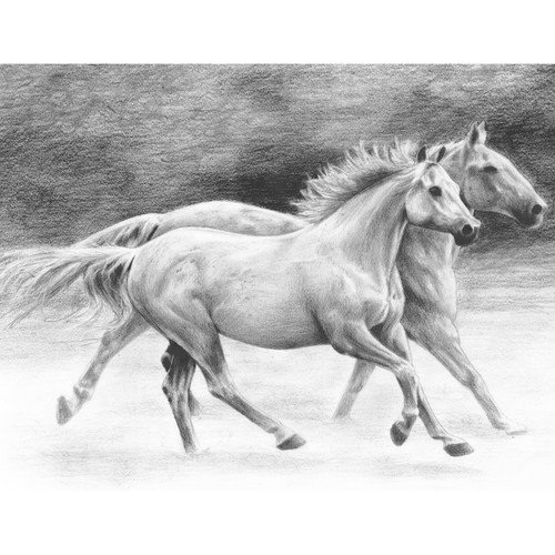 Royal & Langnickel(R) Sketching Made Easy Kit 9"X12"-Running Free - SKBN-20