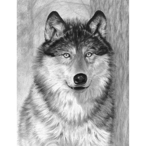 Royal & Langnickel(R) Sketching Made Easy Kit 9"X12"-Alpha - SKBN-18