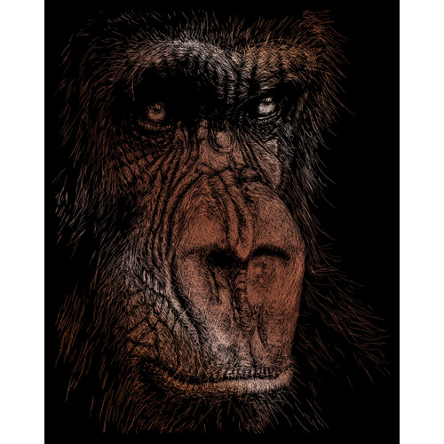 Royal & Langnickel(R) Copper Foil Engraving Art Kit 8"X10"-The Wise Simian - COPRFL-32