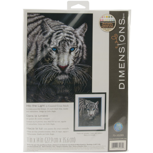 Dimensions Counted Cross Stitch Kit 11"X14"-Into The Light (14 Count) 70-35289 - 088677352899