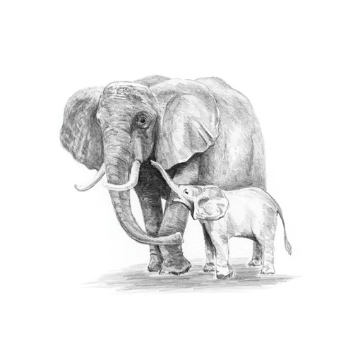 Royal & Langnickel(R) Sketching Made Easy Kit 5"X7"-Elephant & Baby - SKMIN-111