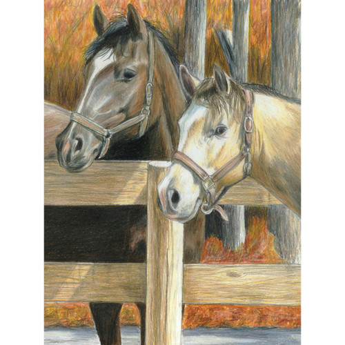 Royal & Langnickel Color Pencil By Number Kit 8.75"X11.75"-Buck's Pal - CPBNK-16