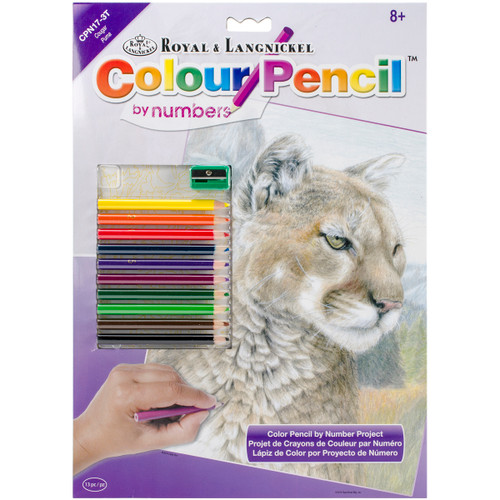 Color Pencil By Number Kit 8.75"X11.75"-Cougar -CPBNK-17 - 090672943576