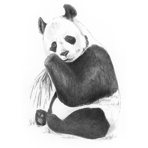 Royal & Langnickel(R) Sketching Made Easy Kit 5"X7"-Panda - SKMIN-107 - 090672944153