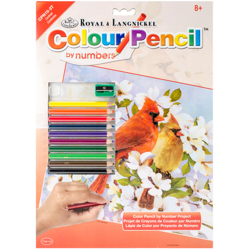 Royal & Langnickel Color Pencil By Number Kit 8.75"X11.75"-Cardinals - CPBNK-15 - 090672943552