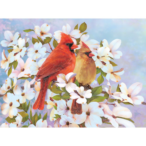 Royal & Langnickel Color Pencil By Number Kit 8.75"X11.75"-Cardinals - CPBNK-15