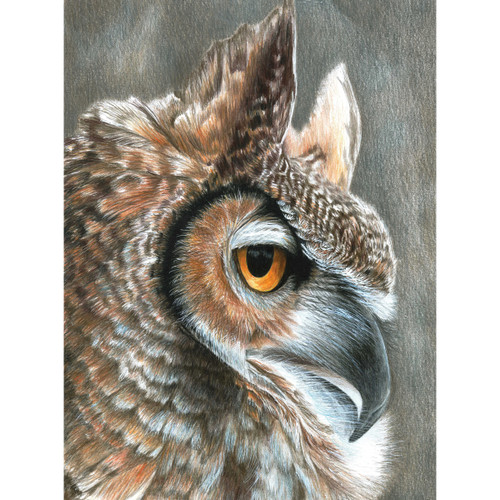 Royal & Langnickel Color Pencil By Number Kit 8.75"X11.75"-Sepia Owl CPBNK-19