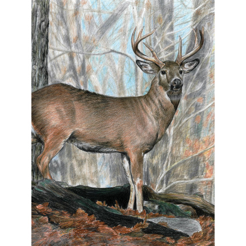 Royal & Langnickel Color Pencil By Number Kit 8.75"X11.75"-Whitetail Buck CPBNK-21