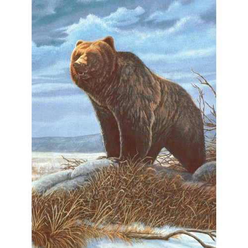 Royal & Langnickel(R) Small Paint By Number Kit 8.75"X11.75"-Grizzly Bear - PJS-82 Royal & Langnickel(R) Small Paint By Number Kit 8.75"X11.75"-Grizzly Bear - PJS-82