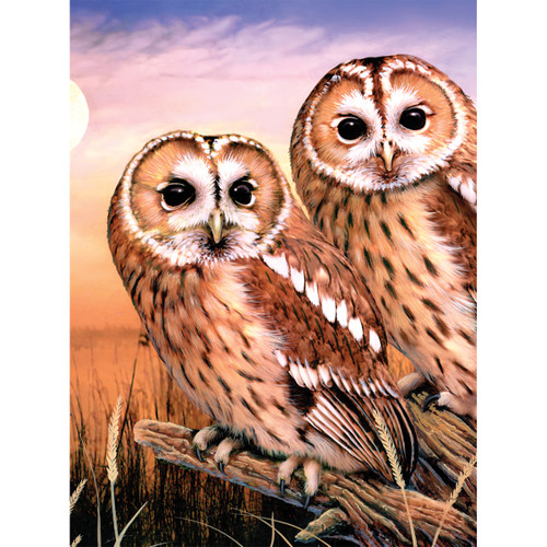 Royal & Langnickel(R) Small Paint By Number Kit 8.75"X11.75"-Tawny Owls PJS-87