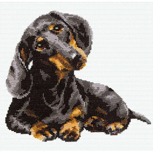 RIOLIS Counted Cross Stitch Kit 9.75"X9.75"-Dachshund (15 Count) R906