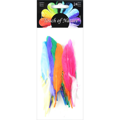 Touch Of Nature Duck Quill Feathers 24/Pkg-Bright Mix MD38367 - 684653383675