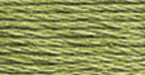 12 Pack - DMC 6-Strand Embroidery Cotton 8.7yd-Medium Green Grey - 117-3052