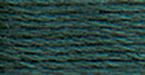12 Pack - DMC 6-Strand Embroidery Cotton 8.7yd-Very Dark Grey Green - 117-924