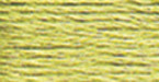 12 Pack - DMC 6-Strand Embroidery Cotton 8.7yd-Ultra Light Avocado Green - 117-472