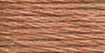 12 Pack - DMC 6-Strand Embroidery Cotton 8.7yd-Dark Desert Sand - 117-407