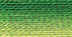 12 Pack - DMC 6-Strand Embroidery Cotton 8.7yd-Variegated Avocado - 117-92