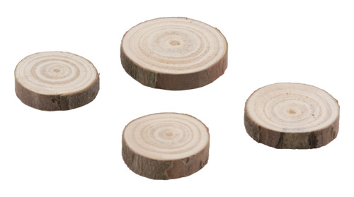 2 Pack Idea-Ology Wood Slices 15/Pkg-Natural Raw Edge 1" To 1.25" TH94209