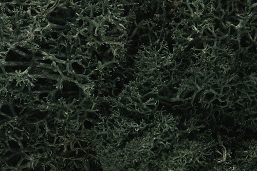 Woodland Scenics Lichen-Dark Green -L164 - 724771001645