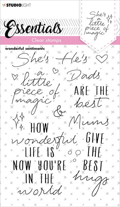 2 Pack - Studio Light Essentials Clear Stamp-Nr. 173, Wonderful Sentiments - STAMP173