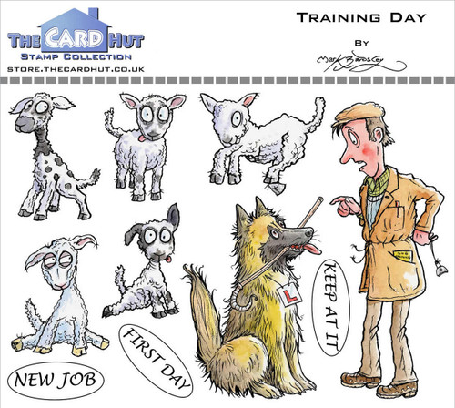 The Card Hut Clear Stamps 4"X6" By Mark Bardsley-Wild World Training Day MBWWTD