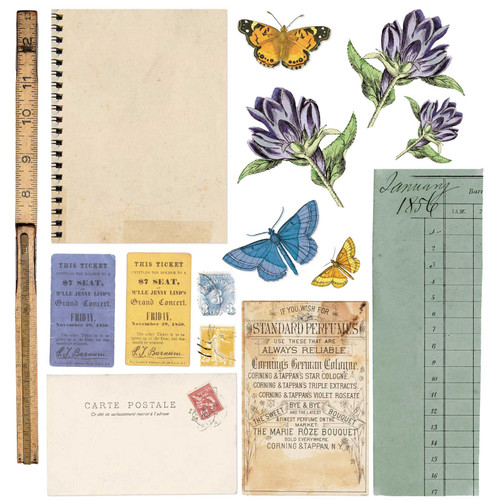 49 And Market Collection Pack 12"X12"-Curators Botanical -CB35762