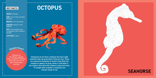 My Sticker Paintings Ocean Animals-Softcover - B1241830 My Sticker Paintings Ocean Animals-Softcover - B1241830