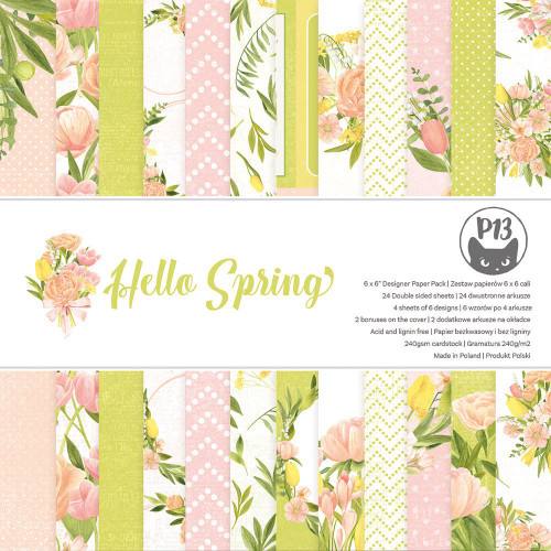 P13 Double-Sided Paper Pad 6"X6" 24/Pkg-Hello Spring P13HSP09 - 59046193201755904619320175