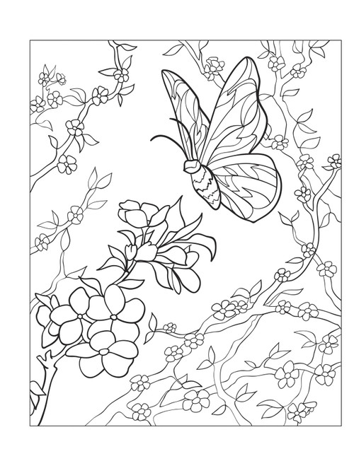 Creative Haven: Beautiful Butterfly Coloring Book-Softcover - B6494562 Creative Haven: Beautiful Butterfly Coloring Book-Softcover - B6494562