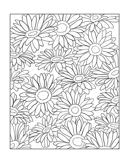 Creative Haven: Floral Design Coloring BookB6793856
