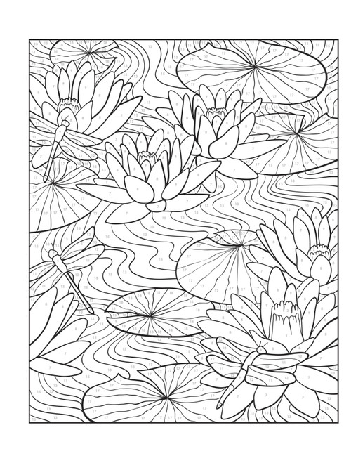 Creative Haven: Floral Design Coloring BookB6793856