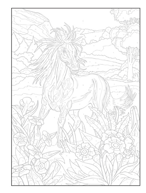 Creative Haven: Horses Coloring Book-Softcover - B6793849 Creative Haven: Horses Coloring Book-Softcover - B6793849