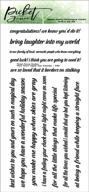 Picket Fence Studios 4"X8" Stamp Set-More Word Topper Subtitles S-198 - 602309343149