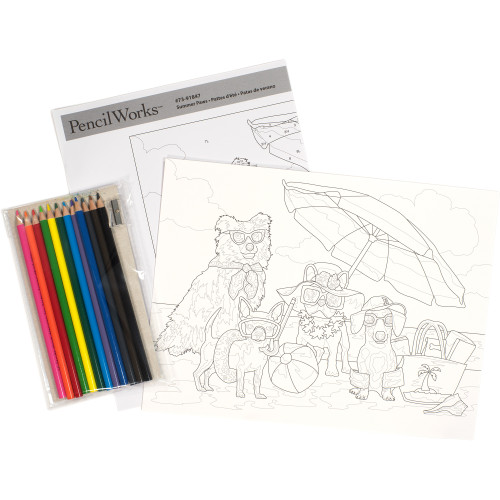 Pencil Works Color By Number Kit 12"X9"-Summer Paws -91847