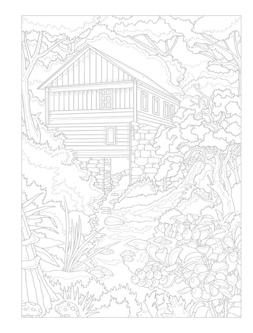 Creative Haven: Country Scenes Color By Number-Softcover - B6822808 Creative Haven: Country Scenes Color By Number-Softcover - B6822808