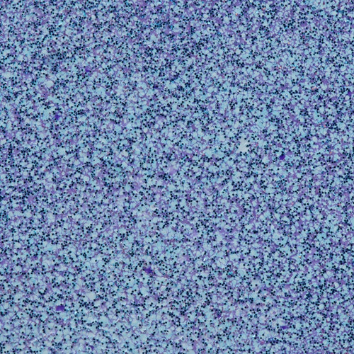 WOW! Glitter Embossing Powder-Niagra Blues WOWWS-339R - 50563331032655056333103265