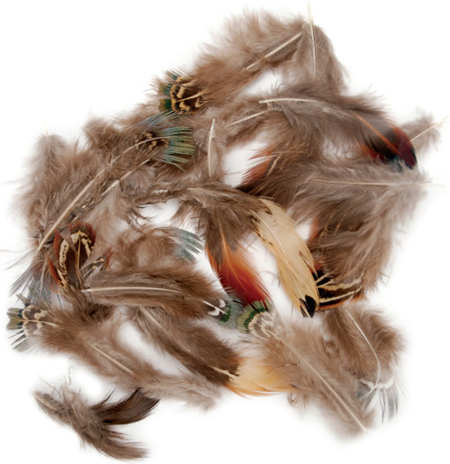 Pheasant Plumage Feathers .25oz-Natural -B564