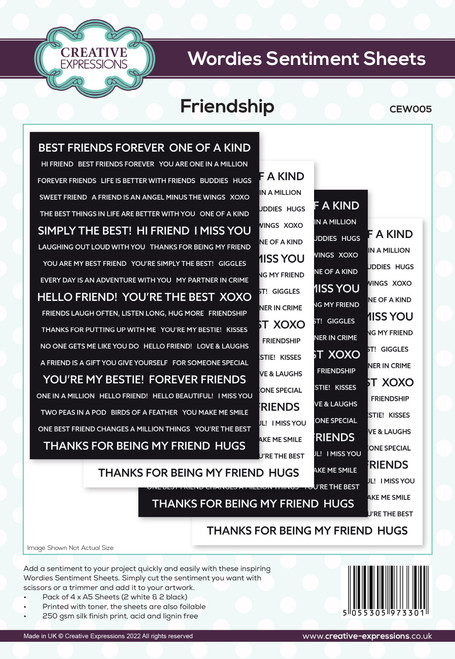 3 Pack Creative Expressions Wordies Sentiment Sheets 6"X8" 4/Pkg-Friendship CEW005