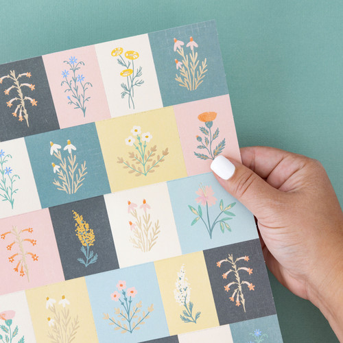 5 Pack - Maggie Holmes Parasol Specialty Paper 12"X12"-Perforated Cardstock W/Gold Foil Accents - MH013896