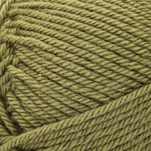 6 Pack - Patons Canadiana Yarn - Solids-Moss - 244510-10770