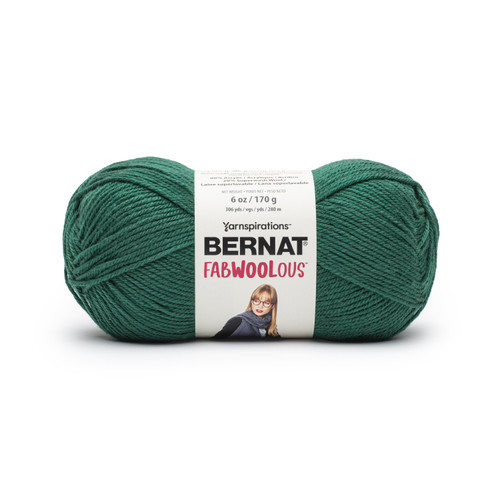 Bernat Fabwoolous Yarn-Pine - 161125-25018 - 057355518117 Bernat Fabwoolous Yarn-Pine - 161125-25018 - 057355518117