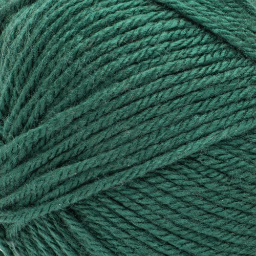Bernat Fabwoolous Yarn-Pine - 161125-25018